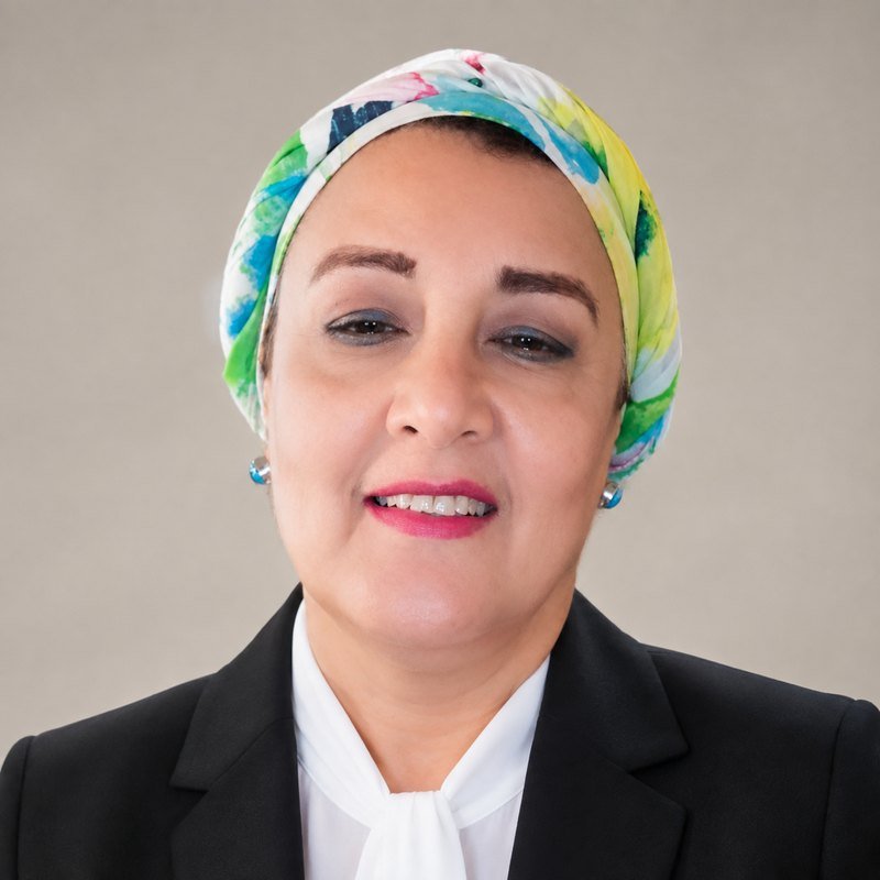 Portrait of Prof. Lobna Sedky