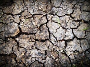 Droughts-What happens when global temperatures increase