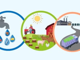 Top Environmental Impacts of Food Production and Agriculture