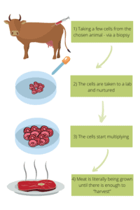  Lab-grown meat porcess